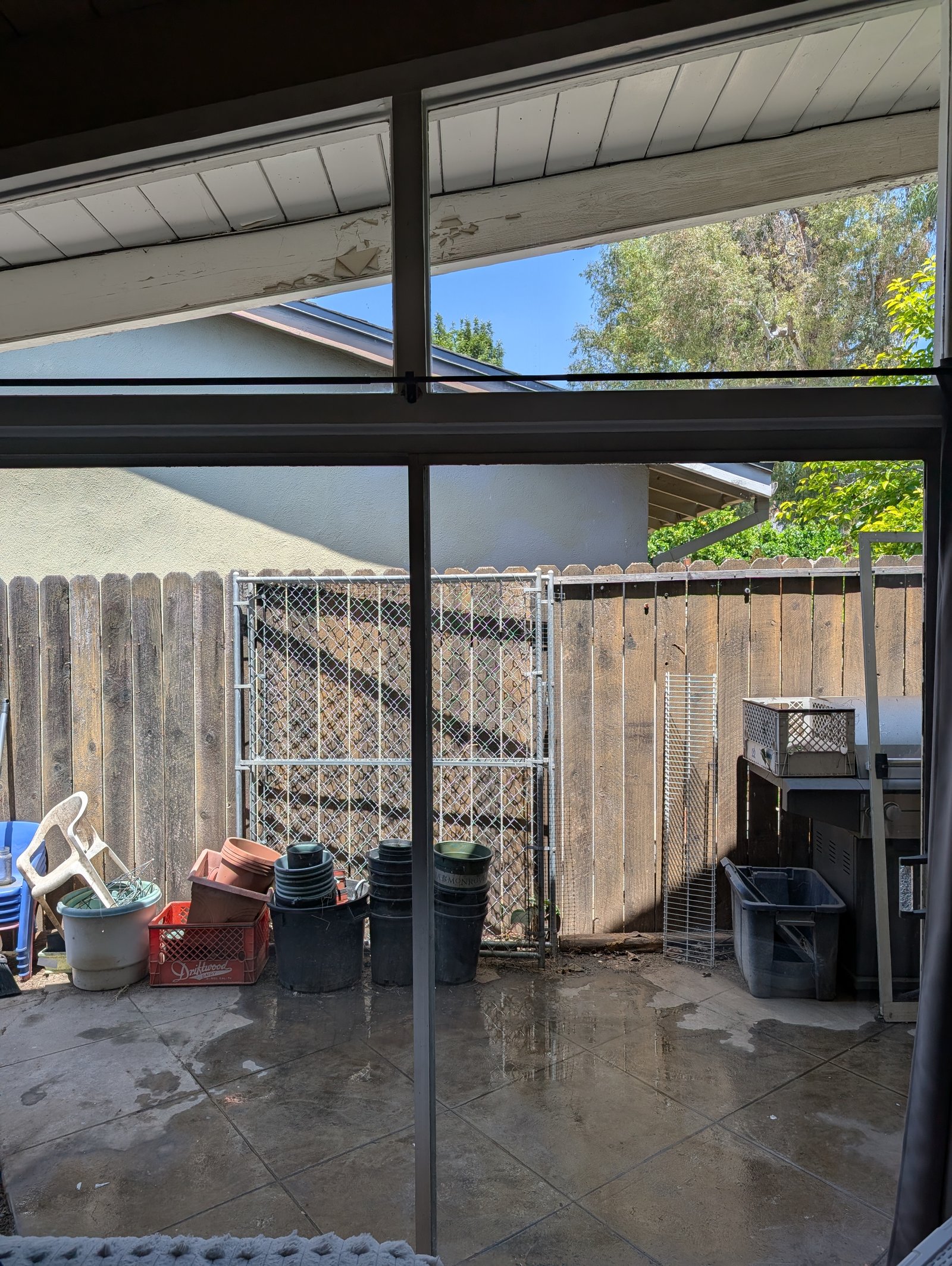 Professional Window Cleaning